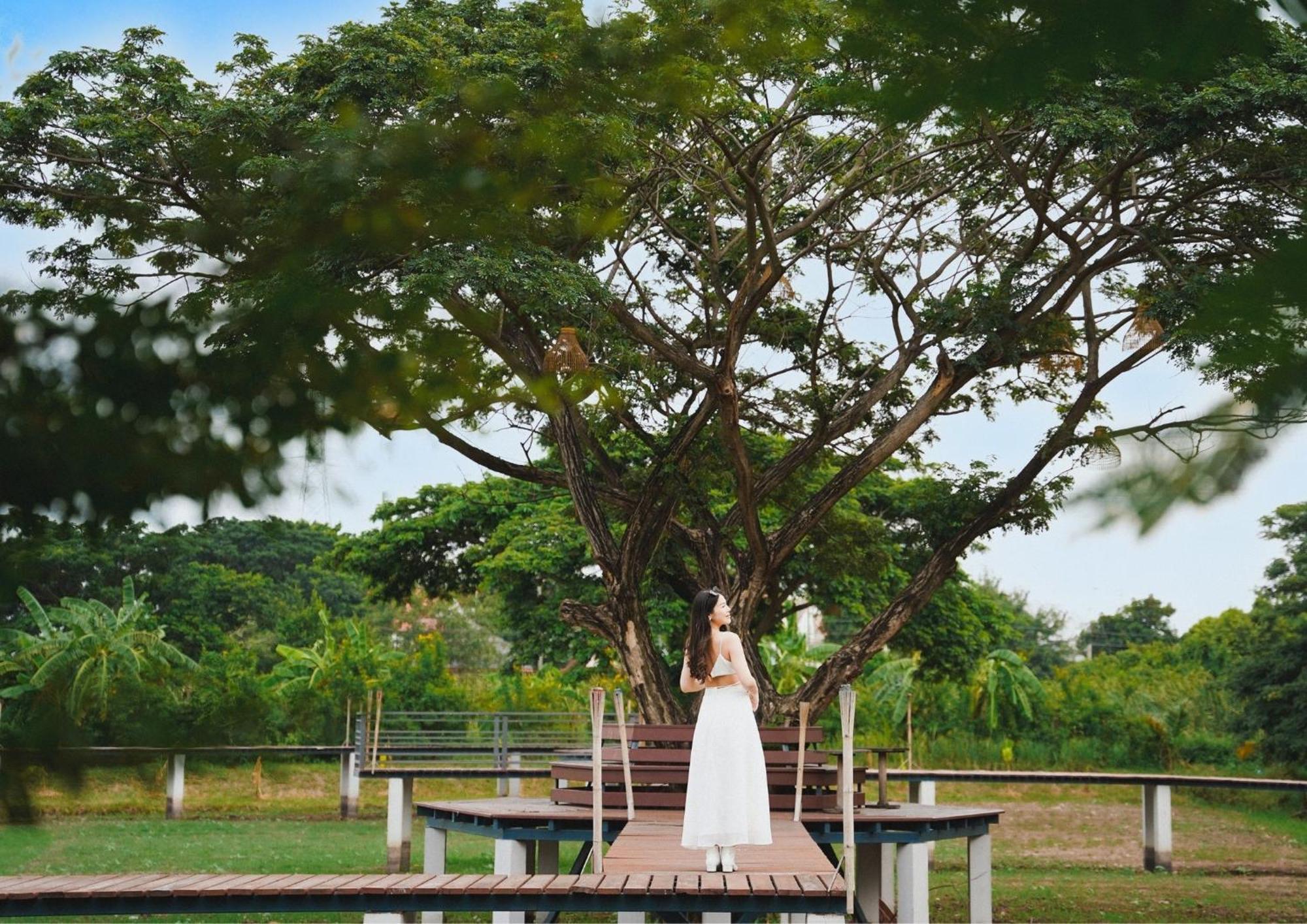 The Cavalli Casa Resort Phra Nakhon Si Ayutthaya Exterior foto